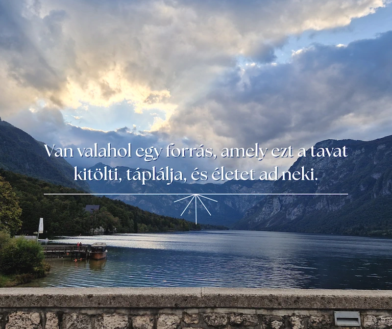 • Forrás •